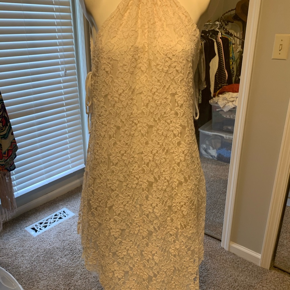 Elan. Beautiful lace dress. Lined